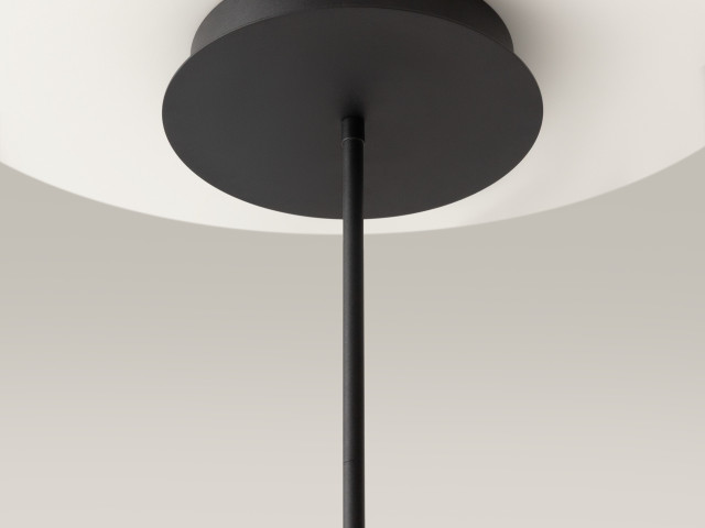 Подвесной светильник Maytoni MOD016PL-L52BK фото:1