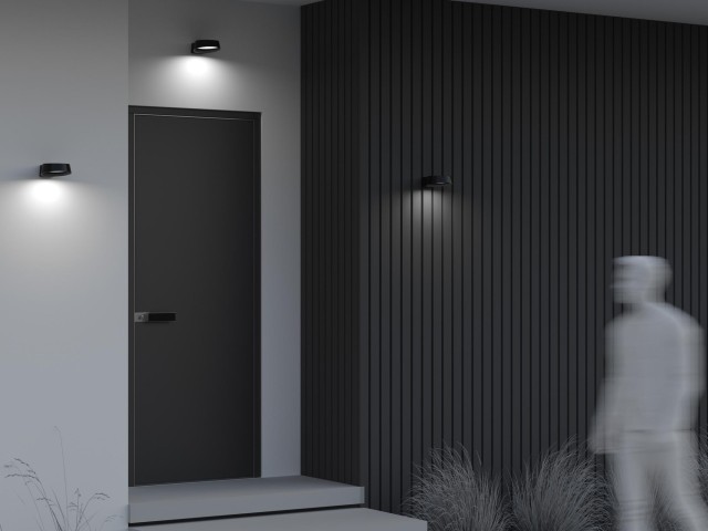 Настенный светильник (бра) Outdoor O443WL-L12GF3K фото:11
