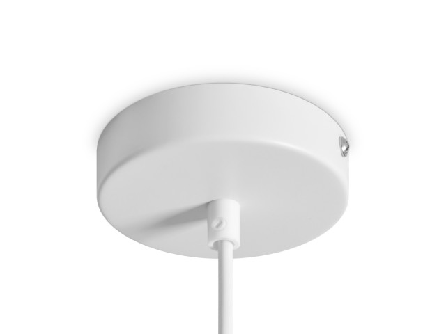 Подвесной светильник Freya FR5530PL-L10W фото:1