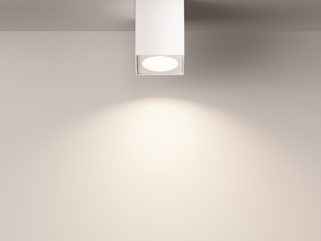 Потолочный светильник Technical C030CL-01W фото:7