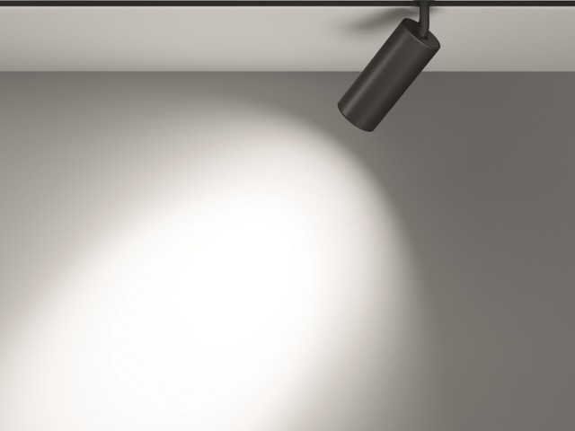 Трековый светильник Technical TR032-2-20W4K-S-B фото:8