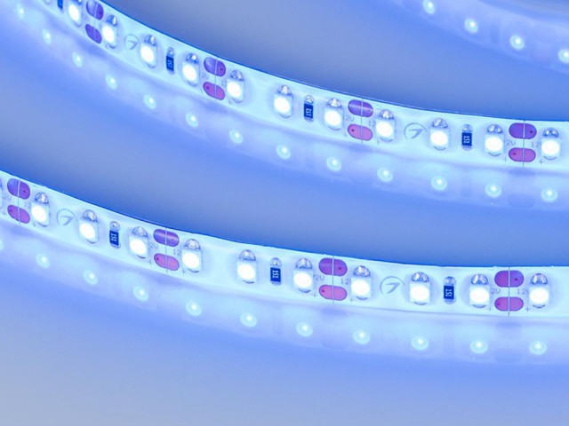 Лента RTW 2-5000SE 12V Blue 2x (3528, 600 LED,LUX) (Arlight, 9.6 Вт/м, IP65) фото:4