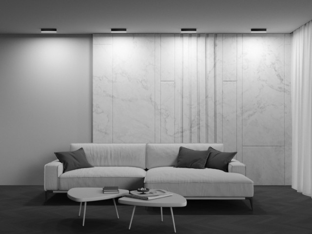 Потолочный светильник Technical C068CL-20W3-6K-B фото:4