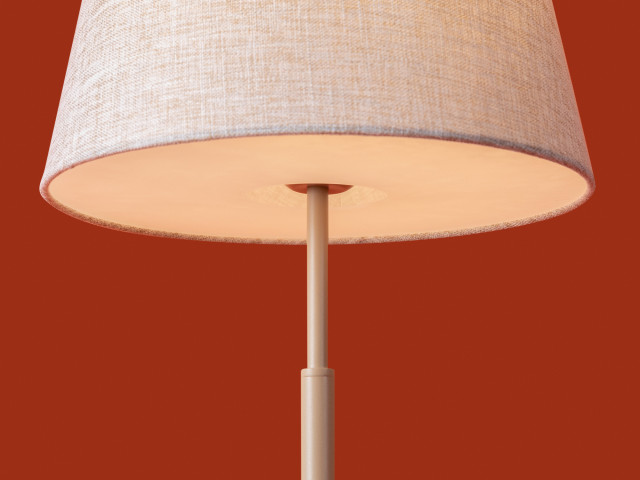 Настольный светильник Freya FR2057TL-01BG фото:6