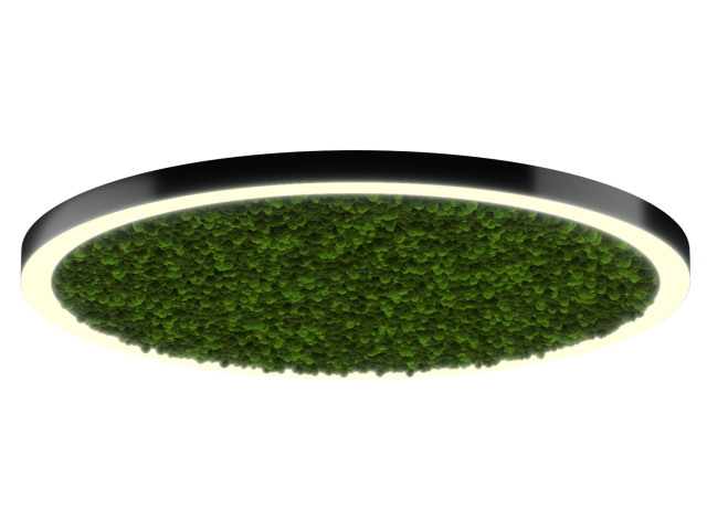 Светильник HOKASU Halo Moss (RAL9005/D1550/LT70 — 3K/146W/120deg) фото:1