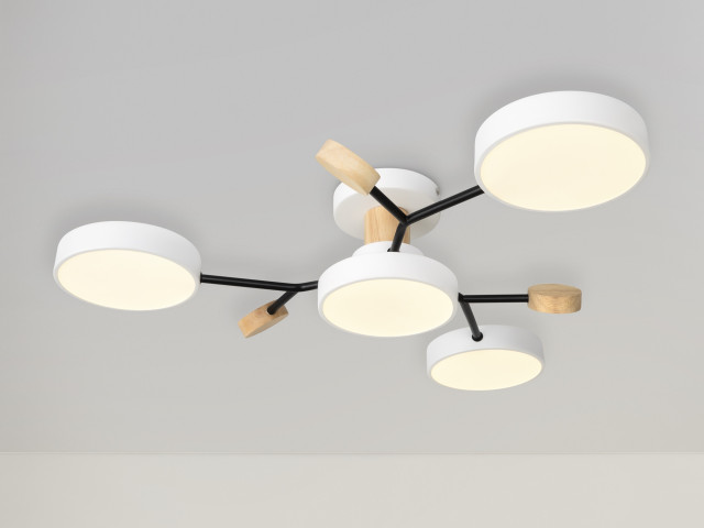 Потолочный светильник Freya FR6119CL-L48W фото:2