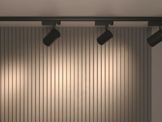 Трековый светильник Technical TR029-3-30W3K-B фото:3