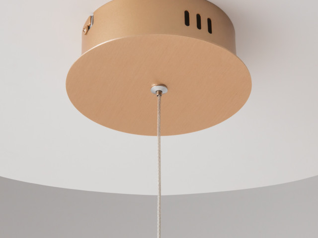 Подвесной светильник Maytoni MOD017PL-L13G фото:9