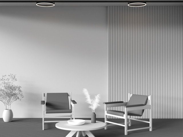 Трековый светильник Technical TR227-2-24W3K-B фото:2